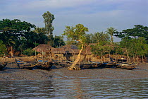 Fishing village, Sundarbans, West Bengal,  India