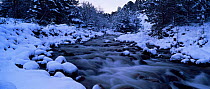 Panoramic view of river in winter snow, Abernethy RSPB reserve, Speyside, Scotland, UK