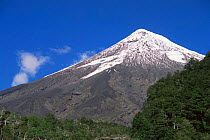 Osorno volcano, viewed from La Picada, Southern Chile