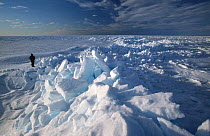 Person standing next to pressure ridge in ice, winter, Lancaster Sound, Nunavut, Northwest Territories, Canadian Arctic