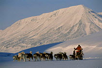 Husky dogs pulling man on sledge across frozen landscape, Spitzbergen, Svalbard, Norway