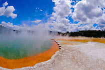 Champagne pool, carbon dioxide bubbles in mineral hot spring, Taupo volcanic zone, Rotorua, New Zealand