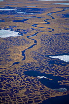 Aerial view of tundra wetland, Kolyma River Delta, Siberia