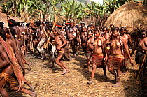 Dani people at a dance in a village near Wamena, Irian Jaya / West Papua, Papua New Guinea, 1991. (West Papua).
