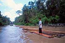 Deforestation - log floats, Sekonyer river, bordering Tanjung Puting NP, Central Kalimantan, Borneo, Indonesia