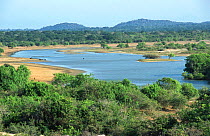 Looking over lake landscape, Yala NP, Sri Lanka