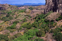 Looking down on tropical dry forest of Yala NP, Sri Lanka