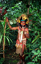 Traditional Huli land owner in medicinal plant garden, Tani valley, Papua New Guinea