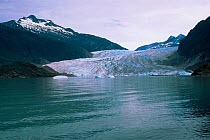 John Hopkin's Glacier meets the coast, Glacier Bay NP, Alaska, USA
