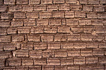 Wall constructed from salt bricks, Salt hotel, Uyuni salt pan, Altiplano, Bolivia