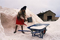 Salt miner digging up salt into wheelbarrow, Uyuni salt pan, Altiplano, Bolivia