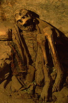Mummy in cave on hillside of Tupisa / Tupiza volcano, Uyuni NP, altiplano, Bolivia