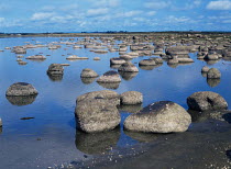 Eroded boulders visible at low water, deposited by glaciation, Lady Island Lake, County Wexford, Ireland