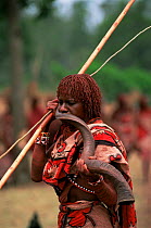 Maasai warrior blows Kudu horn, Eunoto ceremony, Mara Region, Kenya