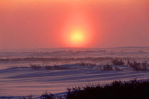 Arctic landscape at sunset, Hudson Bay, Churchill, Manitoba, Canada