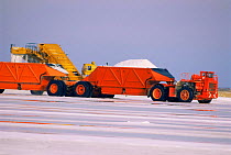 Vehicles collecting salt for export, Baja California, Mexico