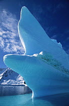 Iceberg prow, summer, Antarctica