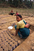 Indian woman working in forest nursery with baby on her back.  Tree saplings are grown for Chakrosila Wildlife Sanctuary. Assam, North East India