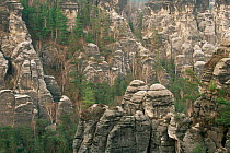 Sandstone rock formations at Sachsische Schweiz NP, Bastei, Sachsen, Germany