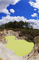 Devil's bath crater filled with arsenic rich water, Wai-O-Tapu, Rotorua, North Island, New Zealand