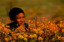 Child with Namaqualand daisies Namaqualand, South Africa