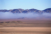 Atacama desert, with coastal fog bringing water to desert, Chile