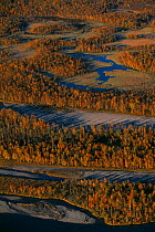 Aerial view of Rapa river delta, Sarek National Park, Lapland, Sweden