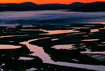Rapa river delta at sunset, Sarek National Park, Lapland, Sweden