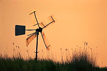 Wind vane in reed beds, The Netherlands