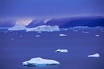 Arctic landscape with icebergs Svalbard, Spitzbergen, Norway