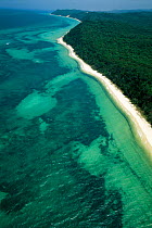 Aerial view of coast near Brisbane, with rainforest meeting the sea, Queensland, Australia