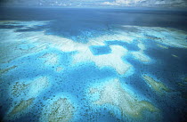 Aerial view of fringing coral reef, Palau Is, Pacific ocean
