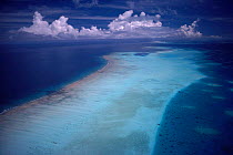 Aerial view of fringing coral reef, Palau Is, Pacific Ocean