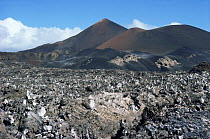 Volcanic ash creates barren landscape Ascension Island, South Atlantic 1987