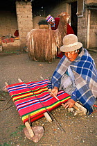 Aymara indian weaving with Alpaca {Lama pacos} Altiplano, Bolivia