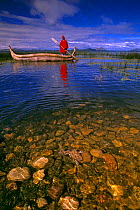 Lake Titicaca with local Indian in traditional reed boat and Giant Titicaca frog {Telmatobius culeus} in foreground, captive release, Bolivia