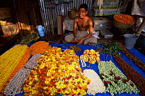Man selling flower garlands in flower market Calcutta, West Bengal, India