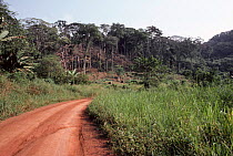 Deforestation making way for slash & burn agriculture, Epulu Ituri Rainforest Reserve, Democratic Republic of Congo