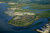 Aerial view of marina built in saltmarshes, Avalon, New Jersey, USA