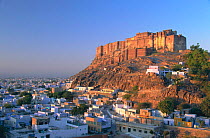 Meherangarh Fort overlooking city, Jodhpur, Rajasthan, India