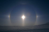 Parhelia sun effect, Arctic bay, Nunavut, Baffin Island, Canada