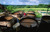 Sugar cane processing plant with large fermentation vats, Guadeloupe, Marie Galante, Caribbean 2000.