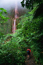 Hiker at Carbet waterfall, Basse-Terre, Guadeloupe, Caribbean 2000.