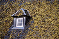 Traditional slate tiled roof with dormer window. Correze, France