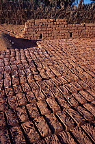 Mud brick production, Timimoun, Algeria