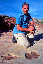 Portrait of Sir David Attenborough sitting next to dinosaur tracks whilst filming for 'Lost Worlds Vanished Lives', Utah, USA, 1989