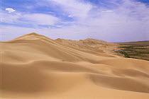 Hongoryn els or singing sands dunes up to 800m, Gobi desert, Mongolia
