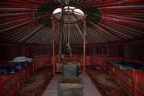 Interior of Tourist tent / gers / yurt in the  Gobi desert, Mongolia. 2001