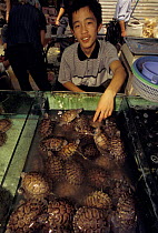 Wild caught live Terrapins for sale at food market, Xian, Shaanxi province, China
