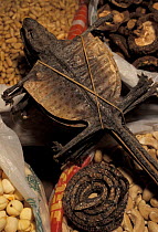 Flying lizards used for medicine, Food market, Xian, Shaanxi province, China